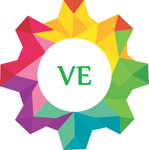 Vision Exim Logo