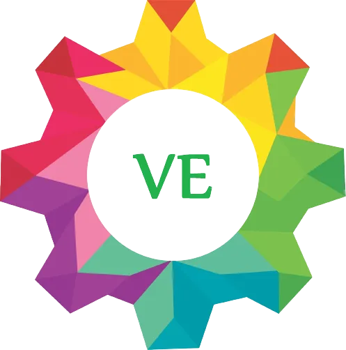 Vision Exim Logo